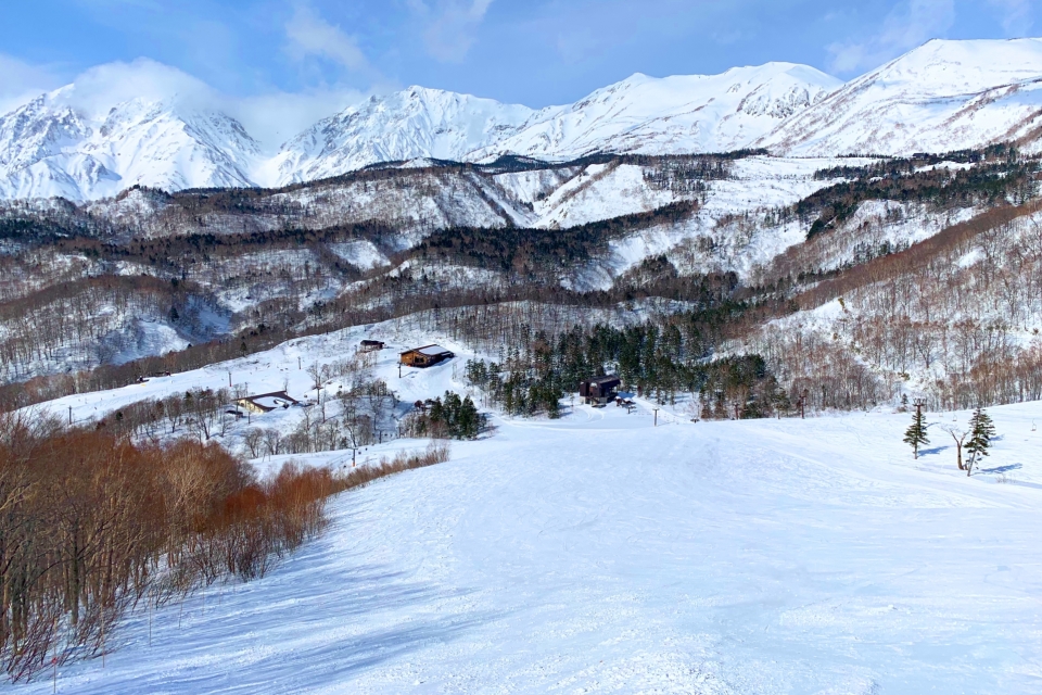 ウィンターシーズンアクティビティ | 北アルプスを望む山岳リゾートホテル 白馬 東急ホテル【公式】