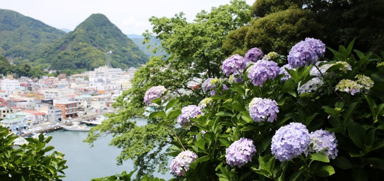 しっとりと雨の似合う季節に 雨の似合うあじさい 伊豆下田の海を望む絶景リゾートホテル 下田 東急ホテル 公式