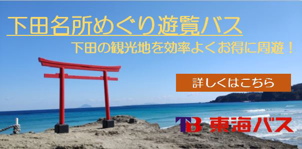 ホテル周辺の観光施設 伊豆下田の海を望む絶景リゾートホテル 下田 東急ホテル 公式