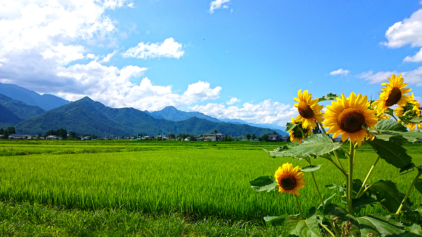 8月夏のランチフェア 上田駅 徒歩1分 上田 東急reiホテル 公式